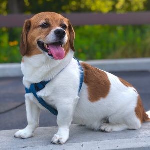 Meet your Posher, Subrina